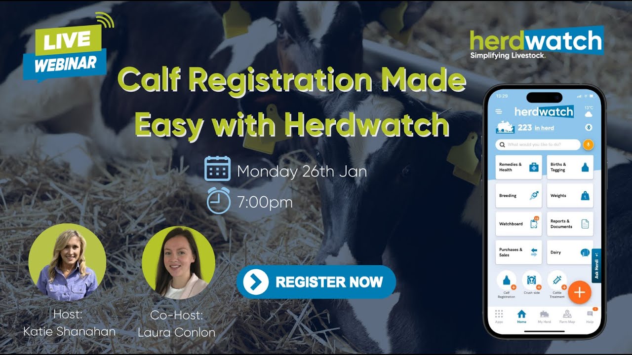 Calf Registration Made Easy With Herdwatch