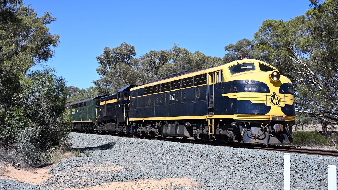 The Roaring sounds of a EMD | Steamrail's Australia Day Diesels to Rochester