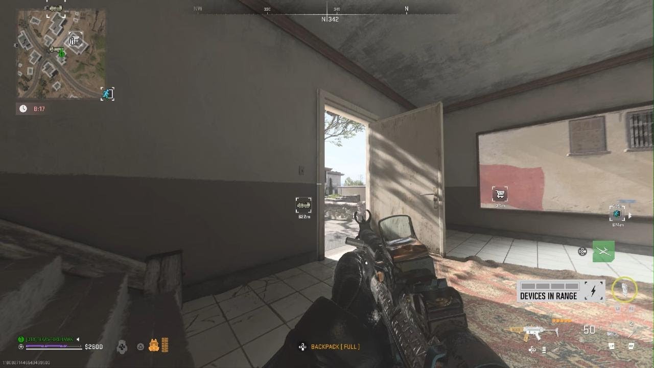 Call of Duty DMZ hackers