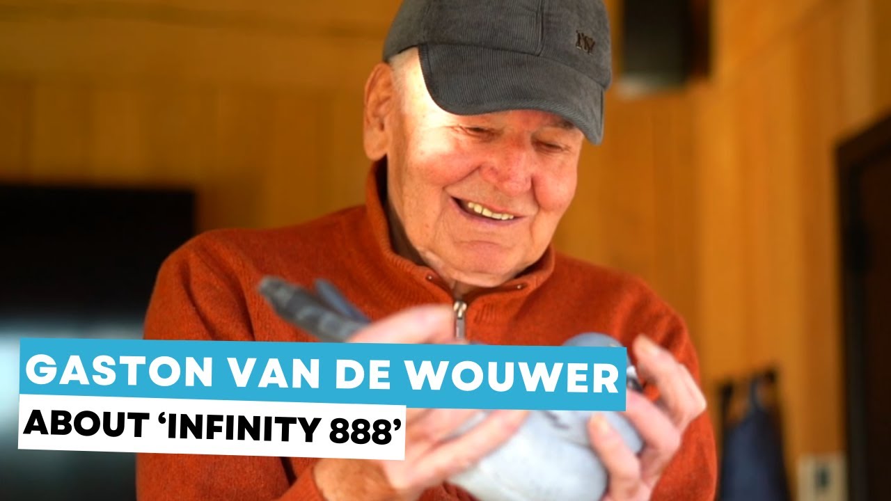 Gaston van de Wouwer about  'Infinity 888'