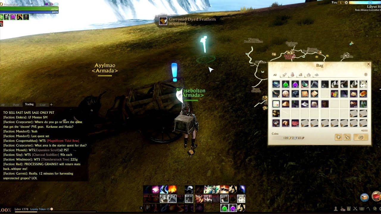 ARCHEAGE DUPING TRADE PACKS CHEAT HACK