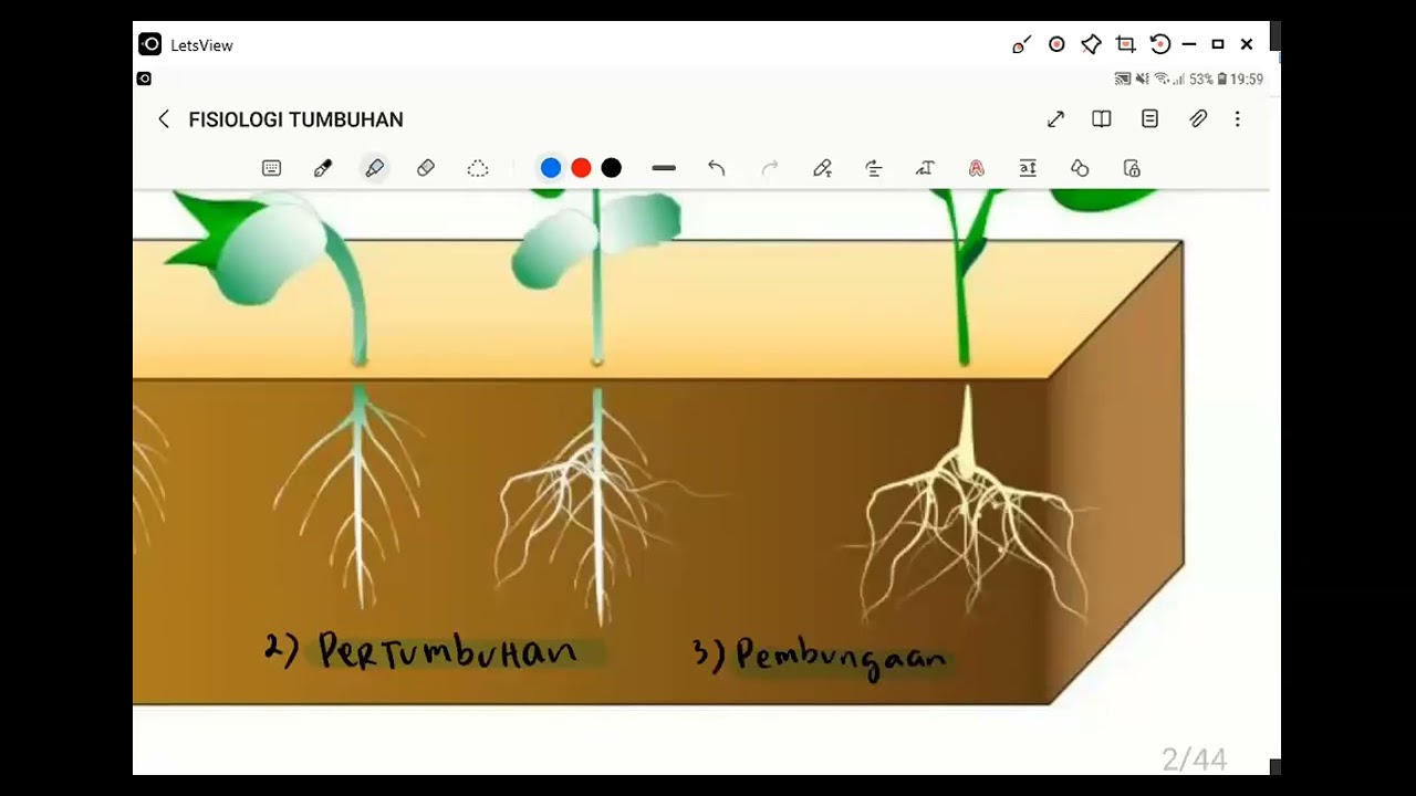 Fisiologi tumbuhan | Biologi | Alternatifa