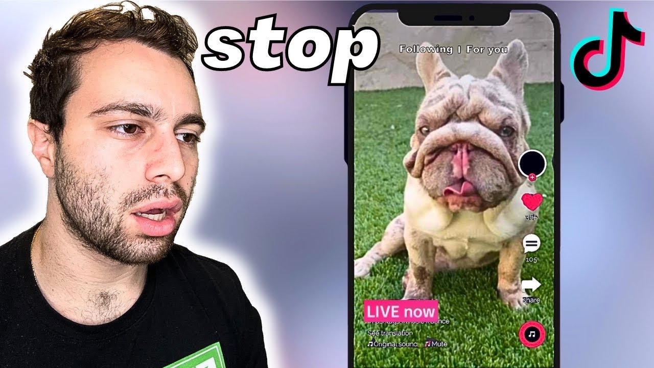 Dog Breeders On Tiktok Live Need To Stop