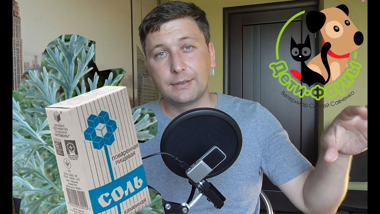 Народные средства против блох. Мой личный, не совсем удачный опыт