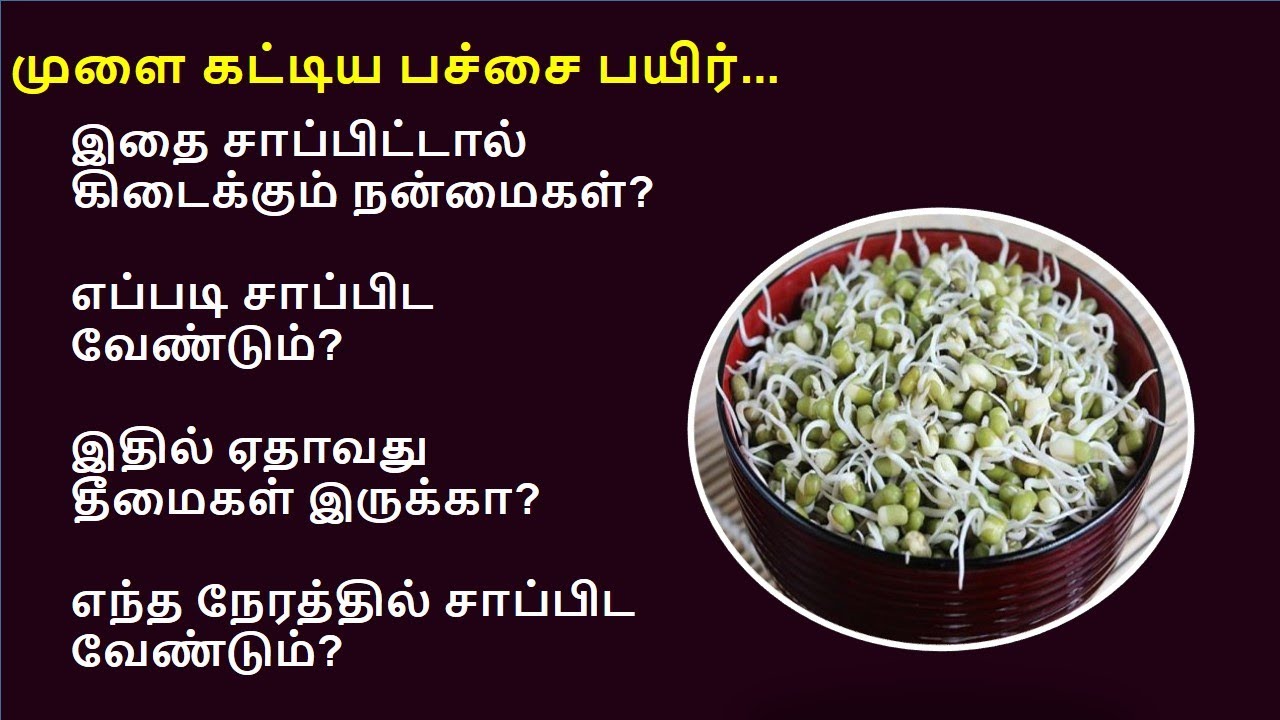 யாரெல்லாம் முளை கட்டிய பயிரை சாப்பிடலாம்? யாரெல்லாம் சாப்பிட கூடாது? | moong dal sprouts benefits