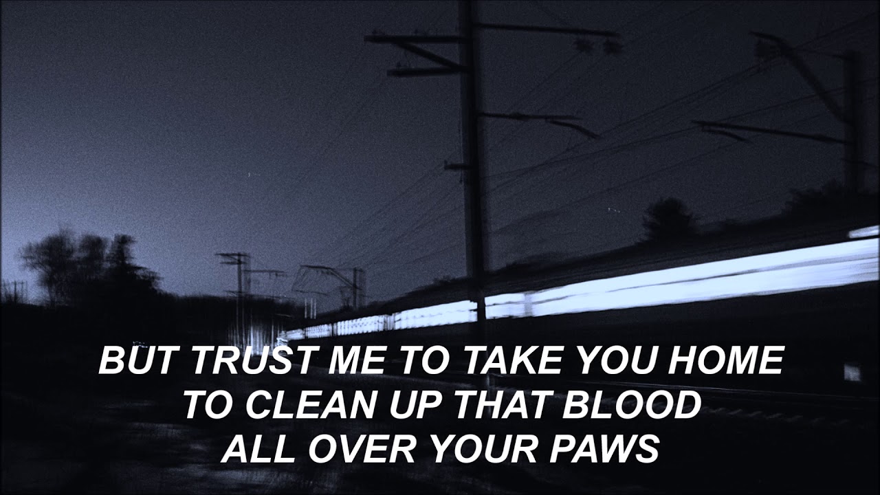 putting the dog to sleep - the antlers | lyrics