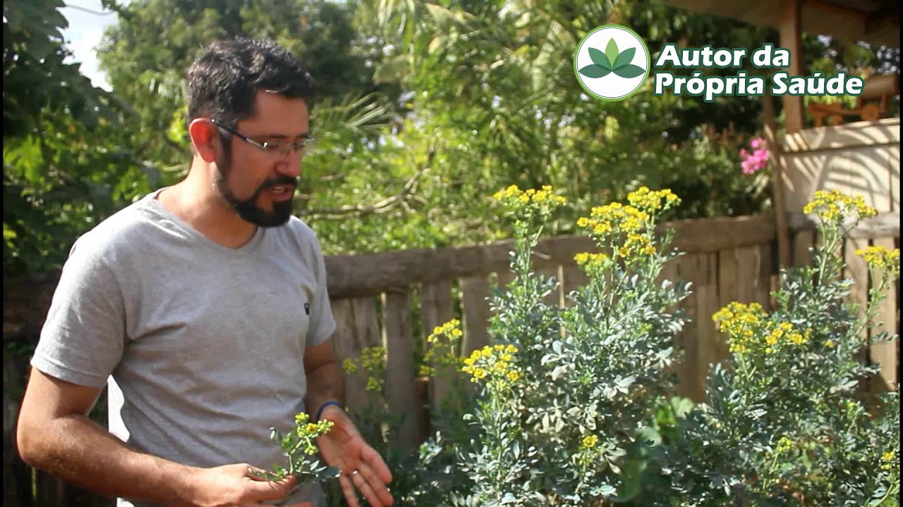 Autor da Pr&oacute;pria Sa&uacute;de - Dica de Planta Medicinal #Arruda