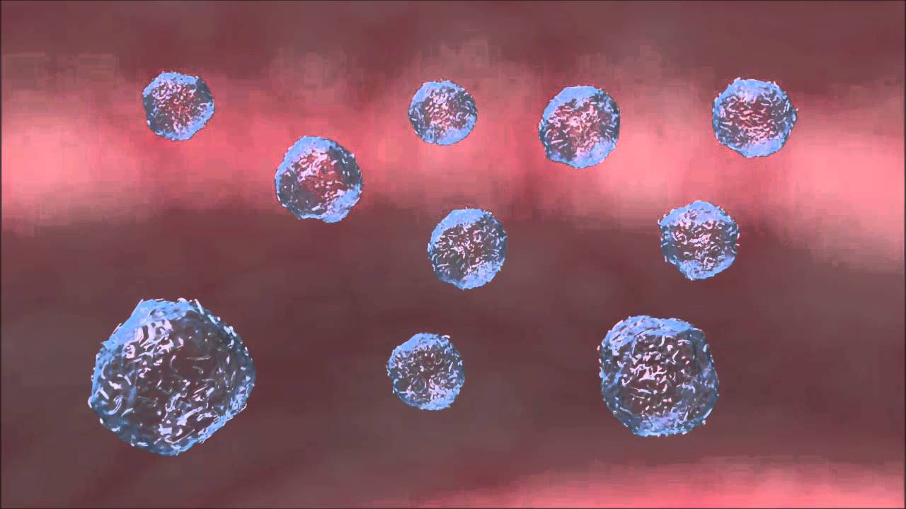 R&eacute;ponse Adaptative Cellulaire