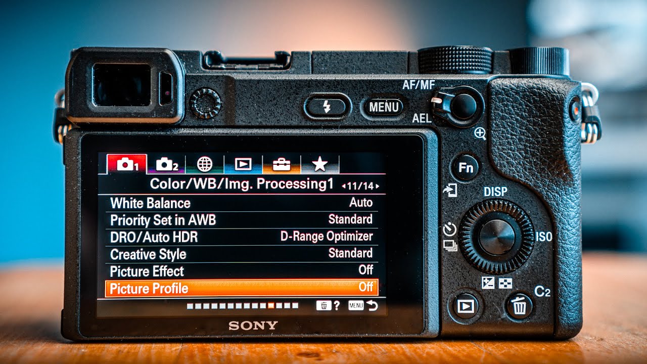 SONY A6400 PICTURE PROFILE OFF &mdash; it looks good!