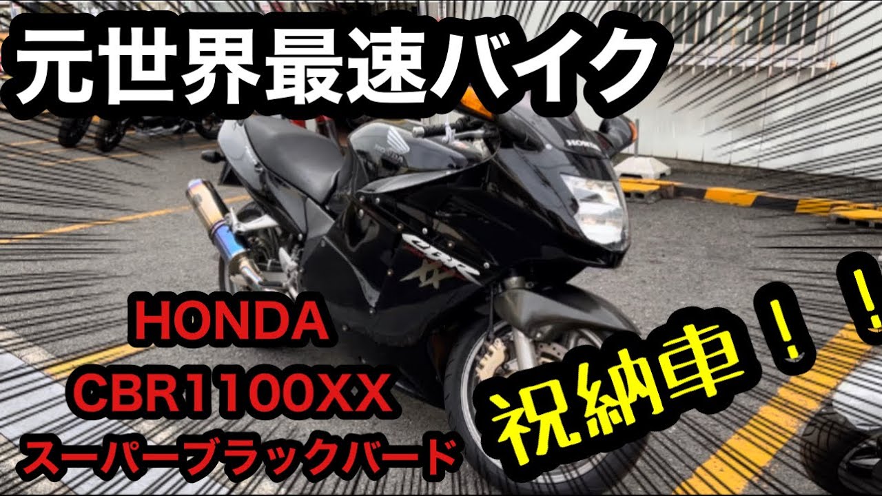 憧れのバイクがついに‼️HONDA唯一のメガスポーツバイク！CBR1100XXスーパーブラックバード