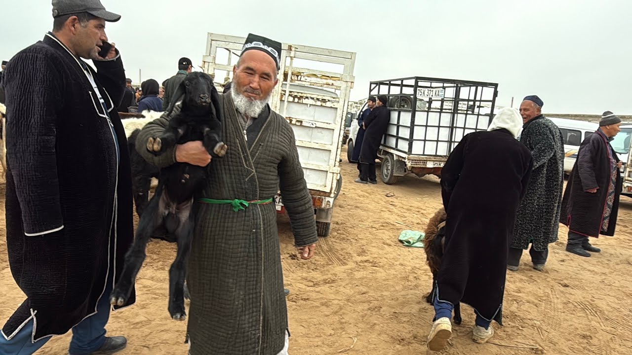 KAKAYDI MOL BOZORI 19.03.2026y