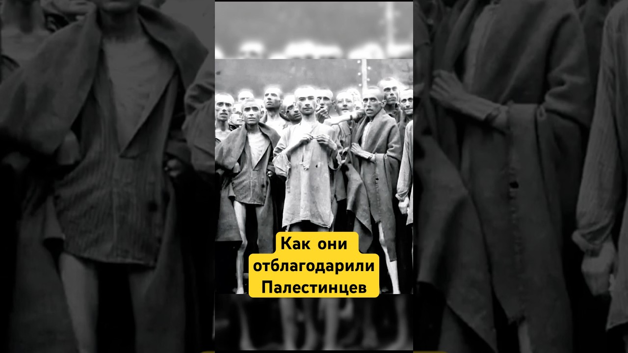 Как Евреи Прибыли в Палестину   ? #shotrs