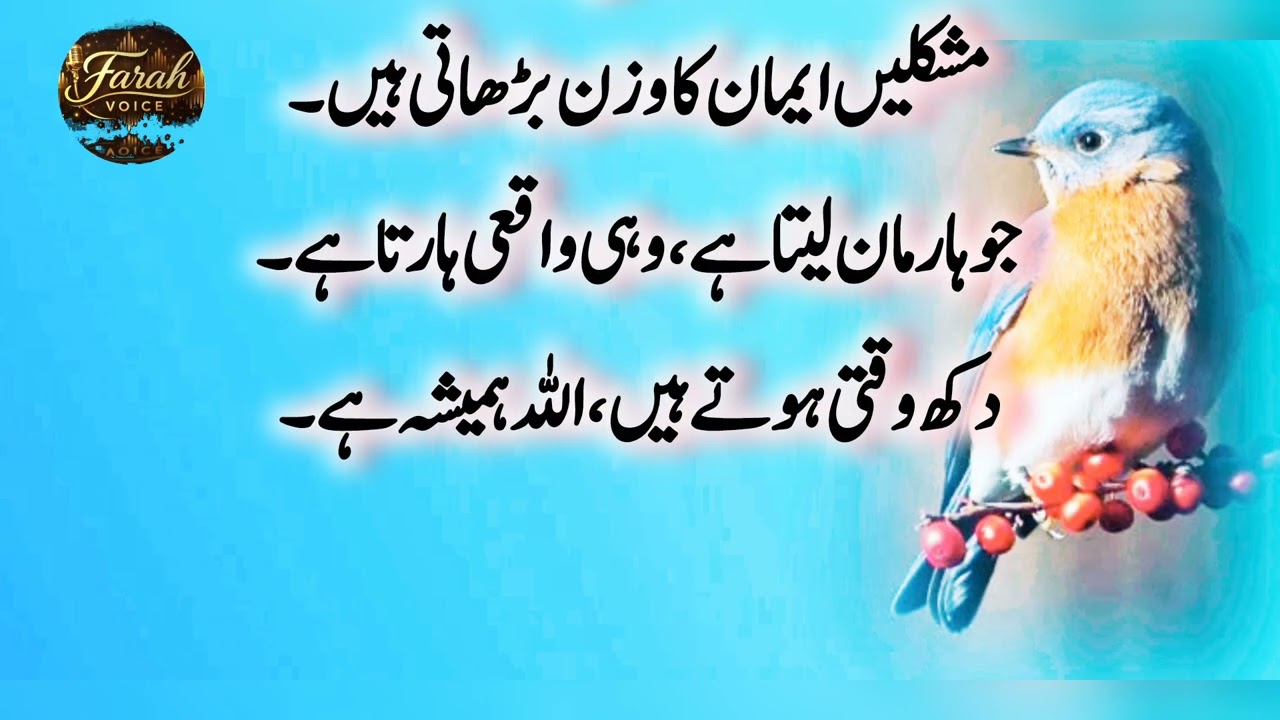 Best Urdu Quotes|Hazrat Ali Quotes|Rumi Quotes Urdu|Golden Words| Quotes About Life|Farah Voice 