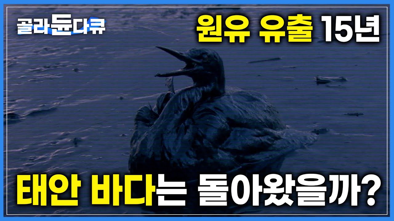 2007년 태안 바다에 일어난 역대급 재앙 원유 유출, 지금은 얼마나 나아졌을까?│인간을 용서 해준 서해 바다│하나뿐인지구│#골라듄다큐