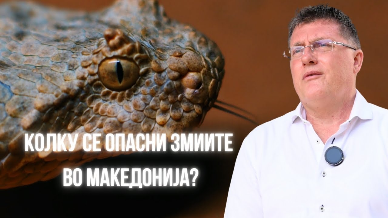 Сретнавте змија? НЕ паничете – слушнете што вели професорот!