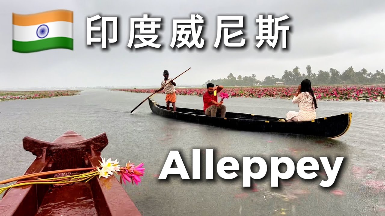 印度的威尼斯❓❓泛舟在阿勒皮backwaters和睡莲池上🇮🇳🪷🚣