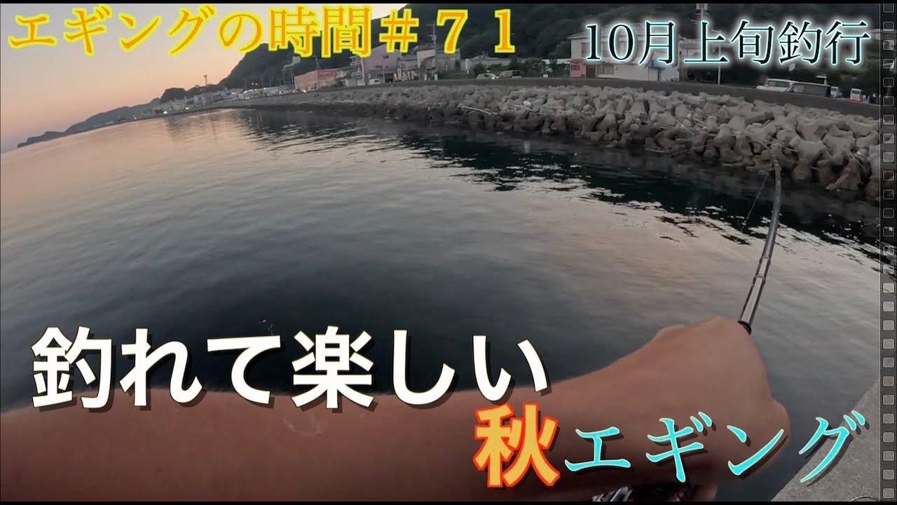 エギングの時間＃ 71　釣れて楽しい秋エギング10月上旬釣行！