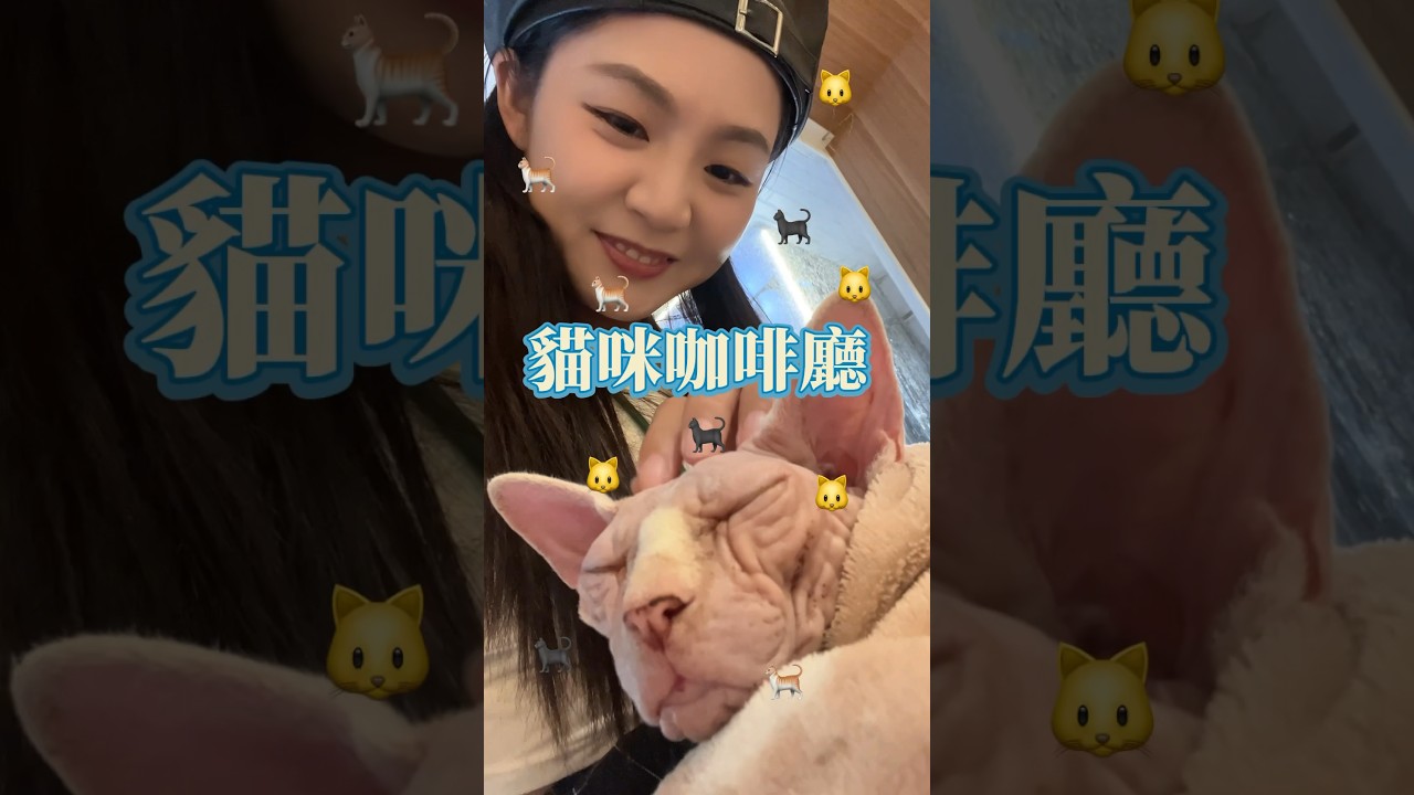 🐈🐱#貓咪咖啡廳 #fufu #cafe ☕️✨