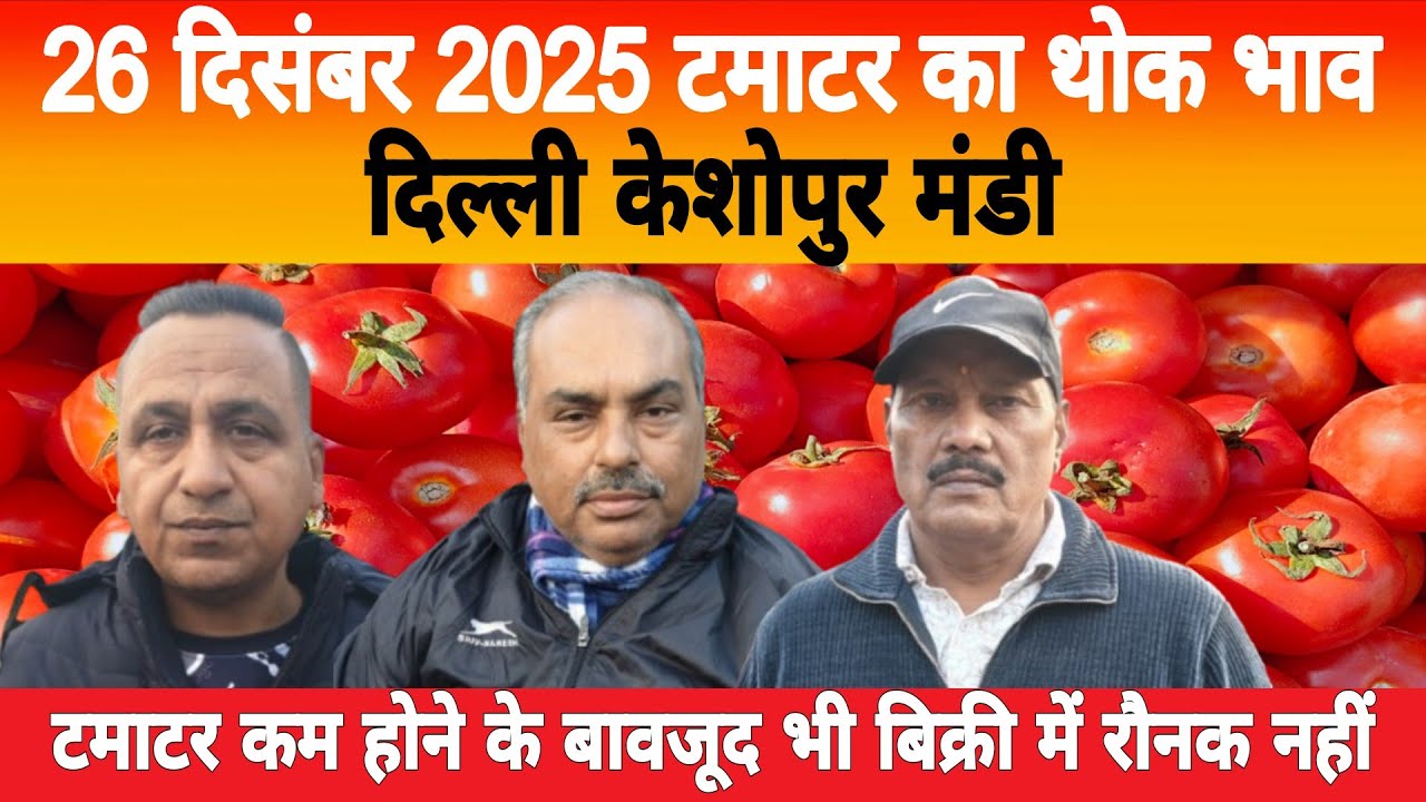 26 Dec 2025 Delhi 🍅 टमाटर होलसेल भाव | Keshopur Mandi | Today Tomato Rate #tamatar #tamatarmandi