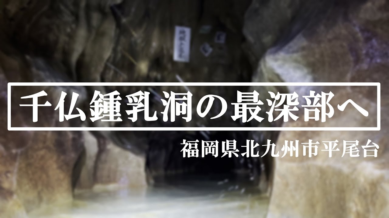 【2.7K高画質】2023年版 千仏鍾乳洞の最深部へ (福岡県北九州市平尾台）