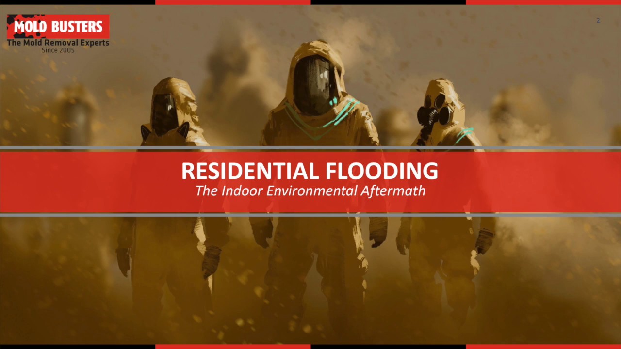 Residential Flooding: The Indoor Environmental Aftermath - Presentation for Ottawa Real Estate Board