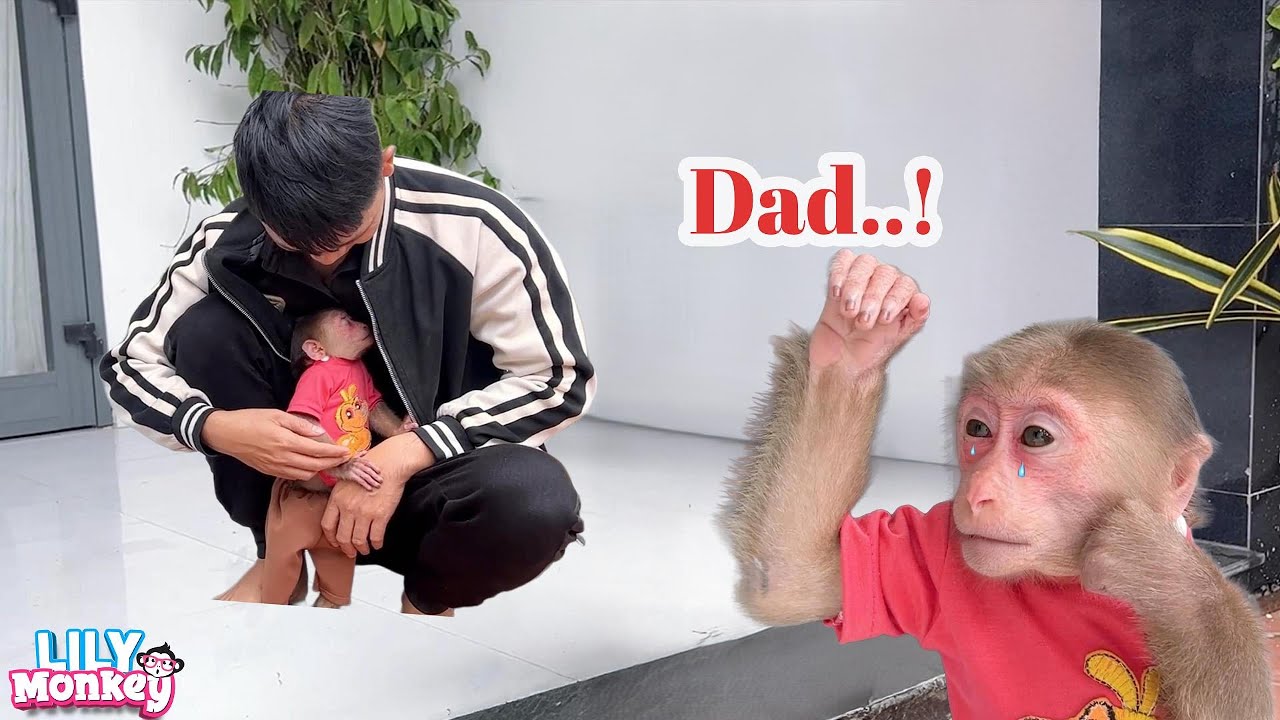 Lily really cried when her dad left..? What’s the truth behind it? | Lily's story