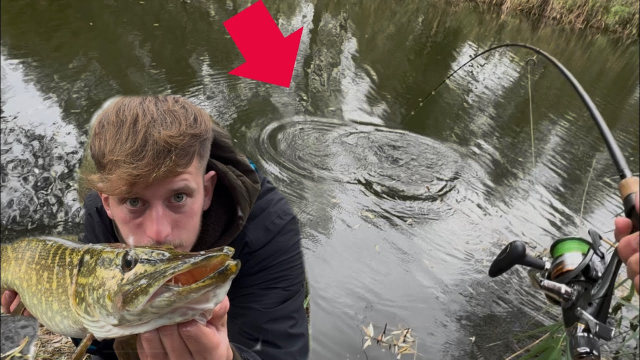 These fish went crazy for my bait!