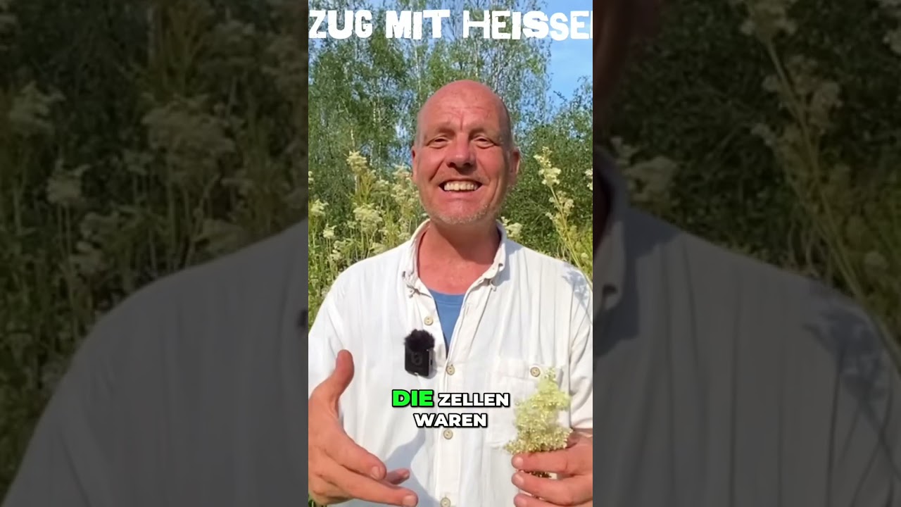 M&auml;des&uuml;&szlig;: Gegen Strahlung! #shorts