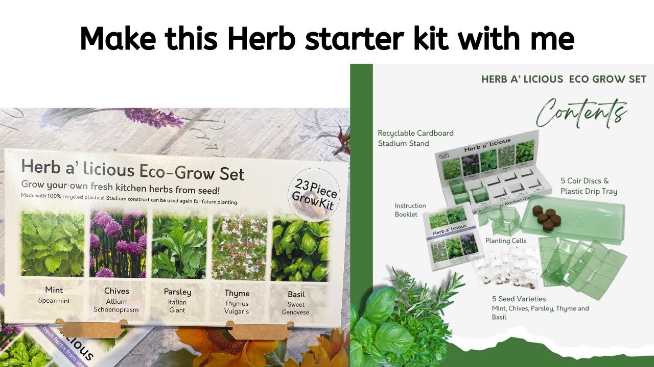 Growing Herbs, Herb Kit, Herb Garden, Eco Gardening, Planting Herbs,