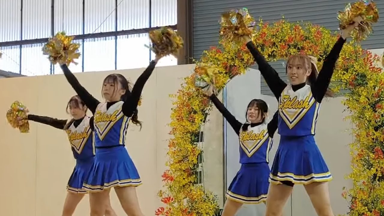 【チアリーディング】松山大学應援團チアリーダー部 2024 10/13松山市中央卸売市場中央市場(前半)