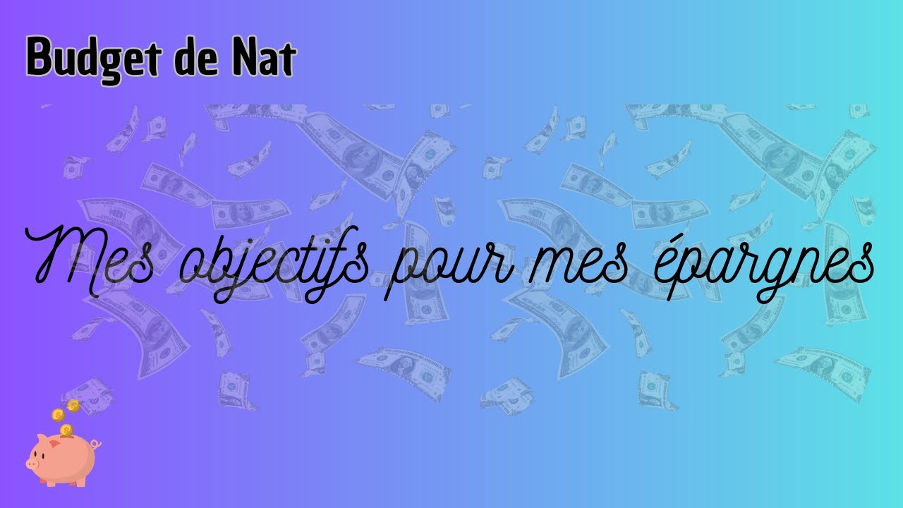 ~ Petite vidéo improviste :  Mes objectifs pour mes épargnes ~