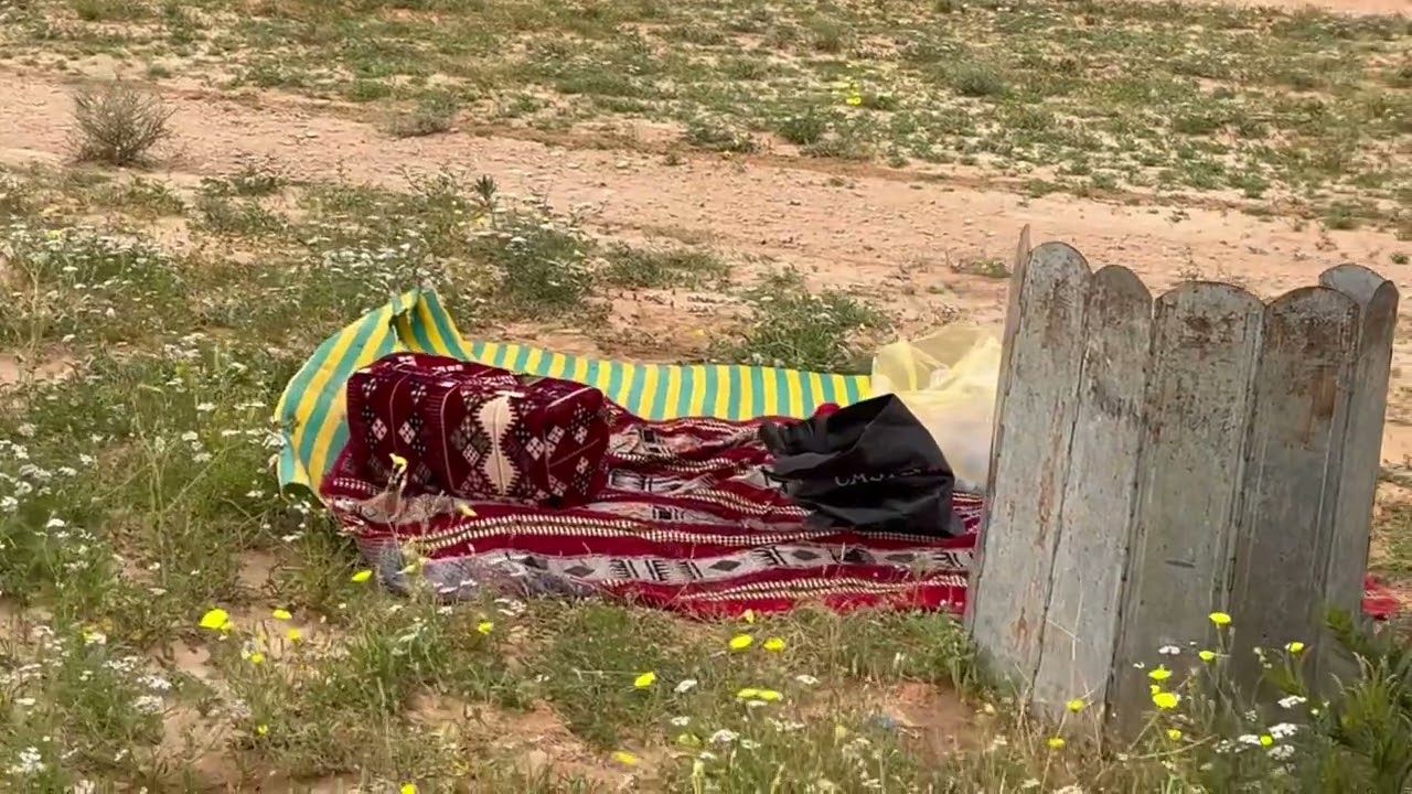 مشاهد من روضة حقاق شمال روضة نوره