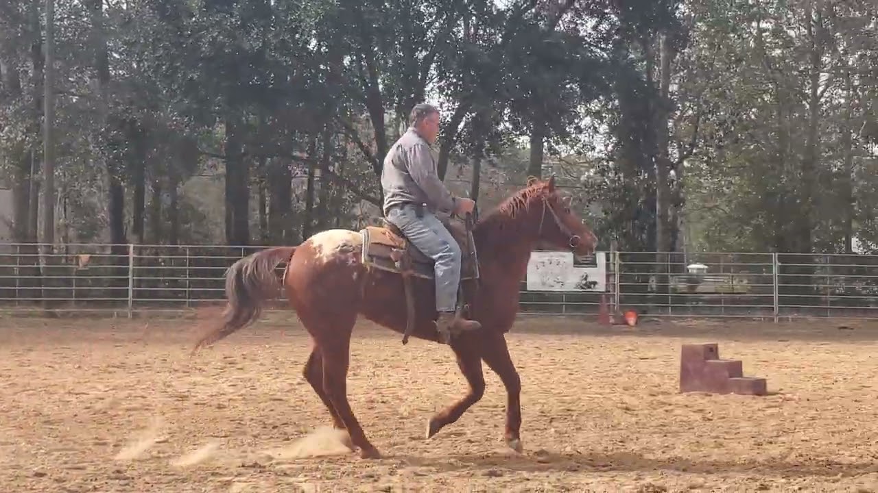 Started way rougher than I expected