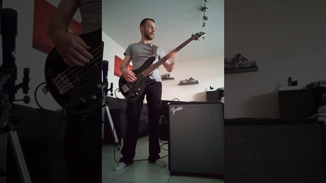 Shaka Ponk Personal Jesus Bass cover