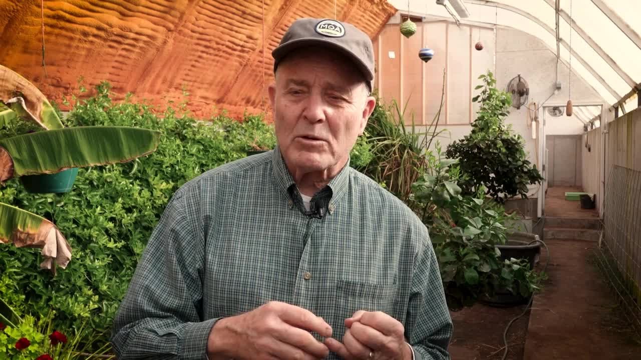 Montana Ag Network: farmer tests unusual fruits in underground greenhouse