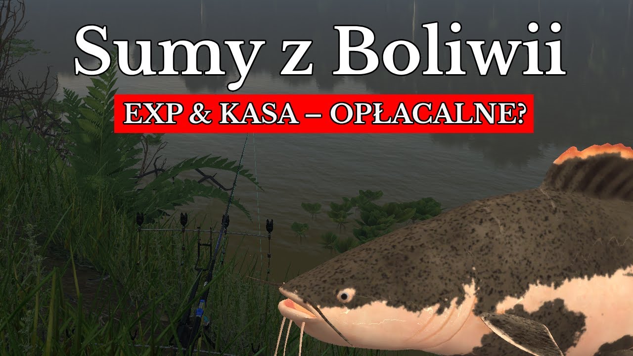 🎣 Fishing Planet &ndash; Testujemy Sumy w Boliwii! 🏆 EXP, Kasa i Opłacalność! 💰🐟