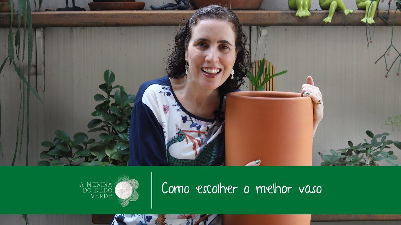 Como Escolher o Melhor Vaso
