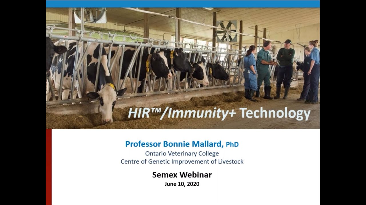Semex Webinar: The Technology, Use and Future of Immunity+®