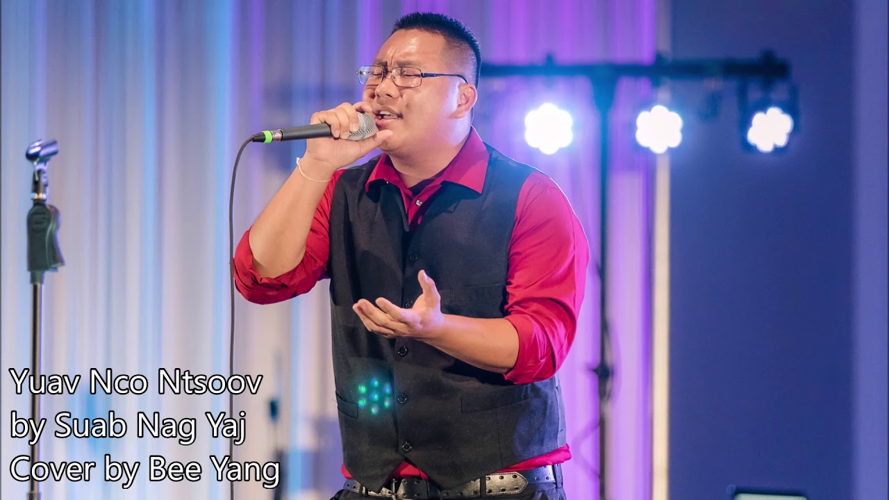 Yuav Nco Ntsoov - Suab Nag Yaj (cover by Bee Yang)