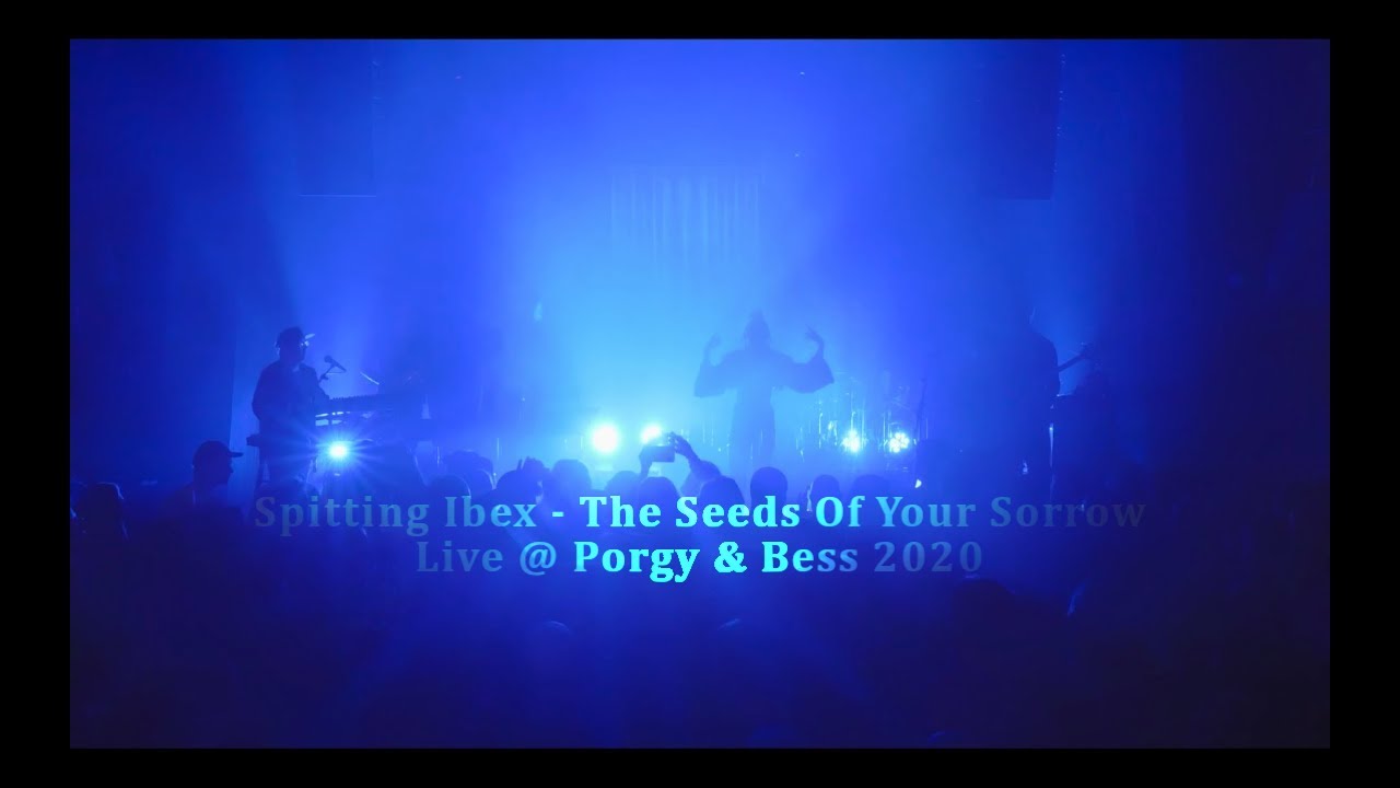 Spitting Ibex - The Seeds of your Sorrow (Live @ Porgy & Bess 2020)