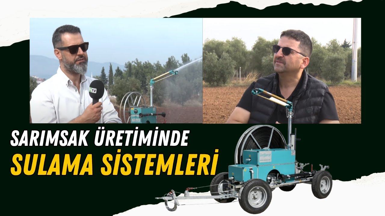 SARIMSAK YETİŞTİRİCİLİĞİ, ÜRETİMİ VE BİLİNÇLİ SULAMA | SU DAMLASI