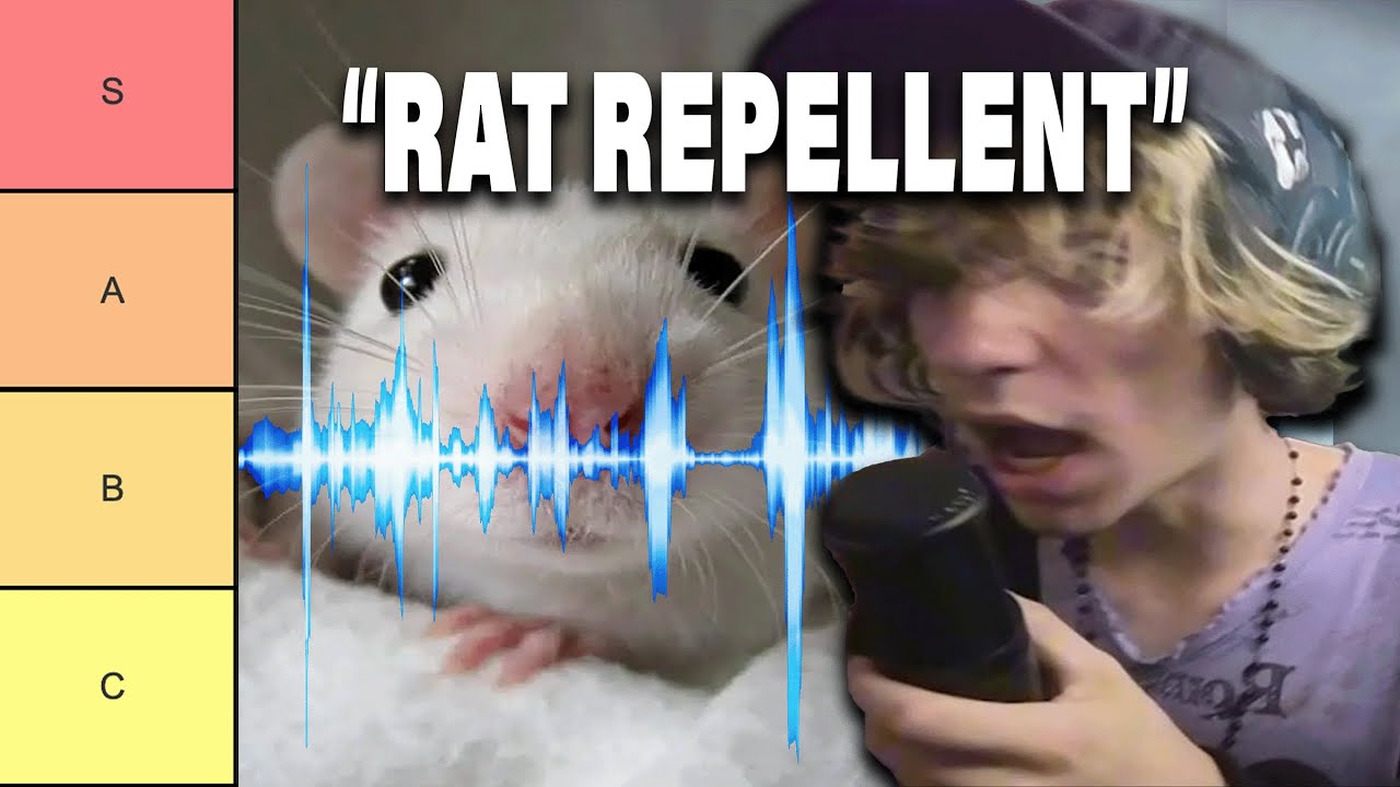 I Ranked Pest Repellent Noises