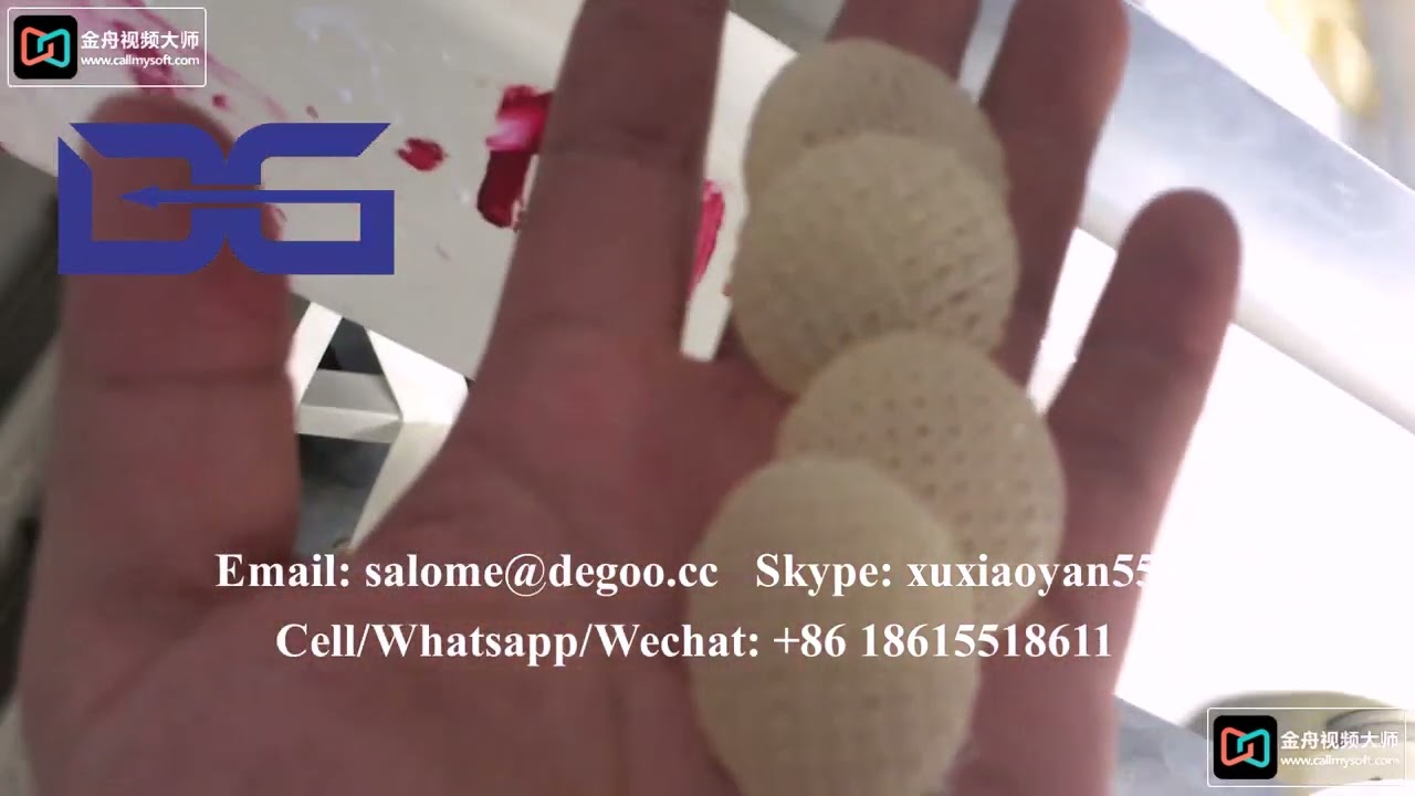 2D/3D Pani Puri/Papad Fryum Pellets Snacks Making Machine 3d oval papad pellet extruder machine