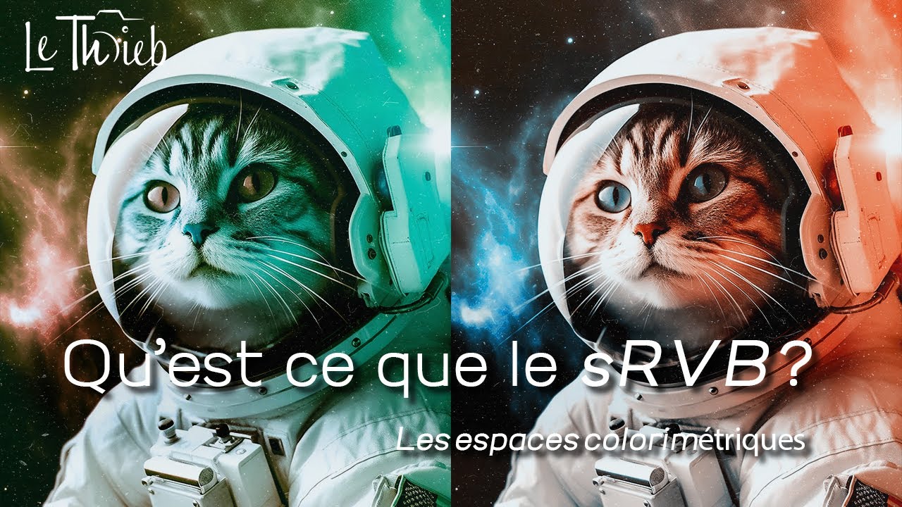 sRVB ? AdobeRVB, ProPhoto, CMJN, DCI-P3 ? (Les espaces colorimétriques.)