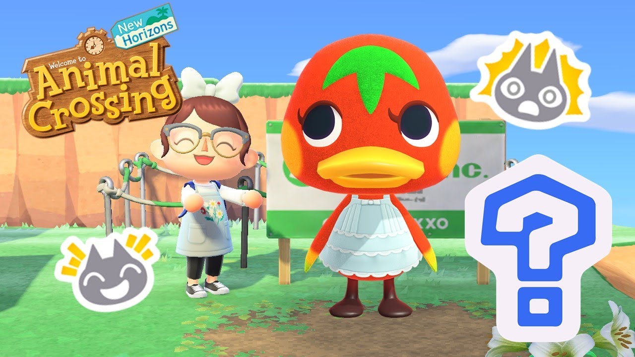 Villager Hunt for Ketchup! (RECAP OF LIVE STREAM)