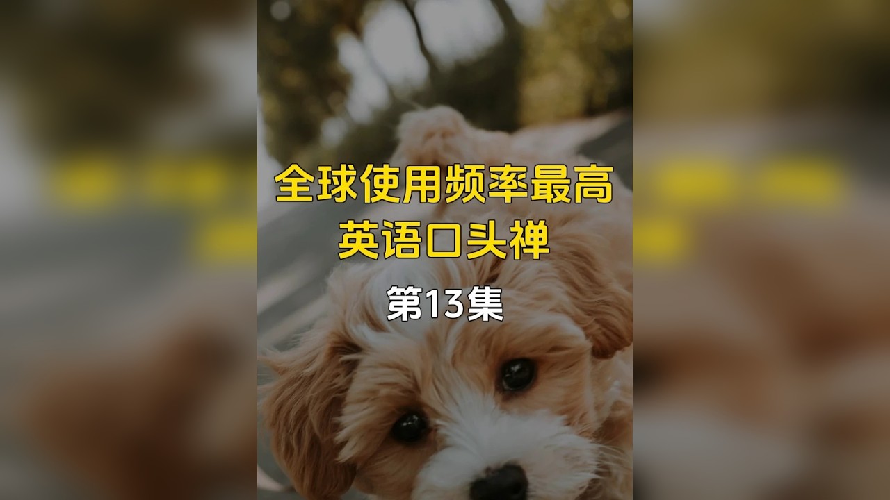 全球使用频率最高的英语口头禅