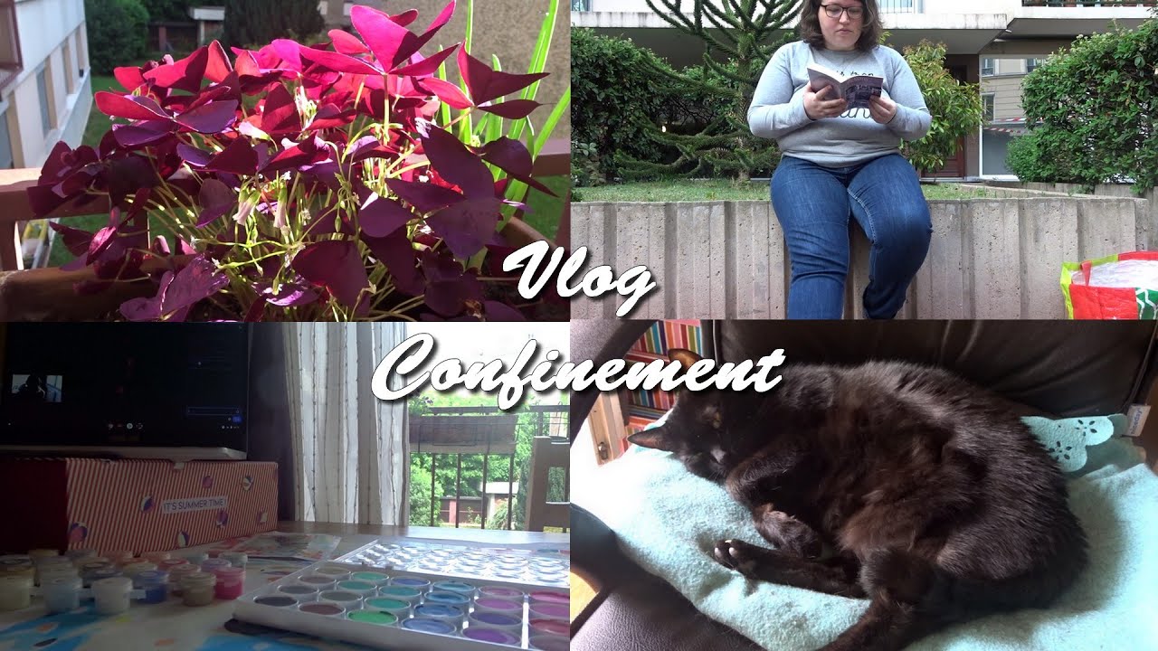 Vlog du confinement