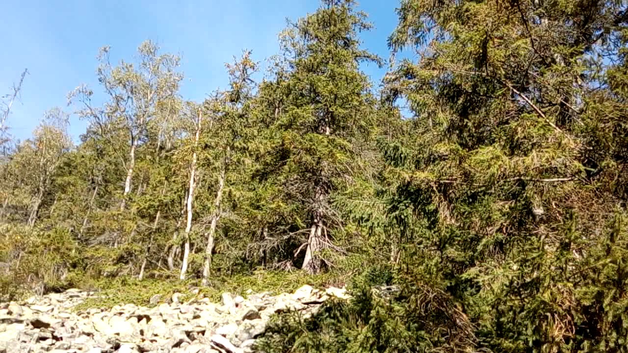 4ч ПВД на гору Хомяк... 20170916 093719