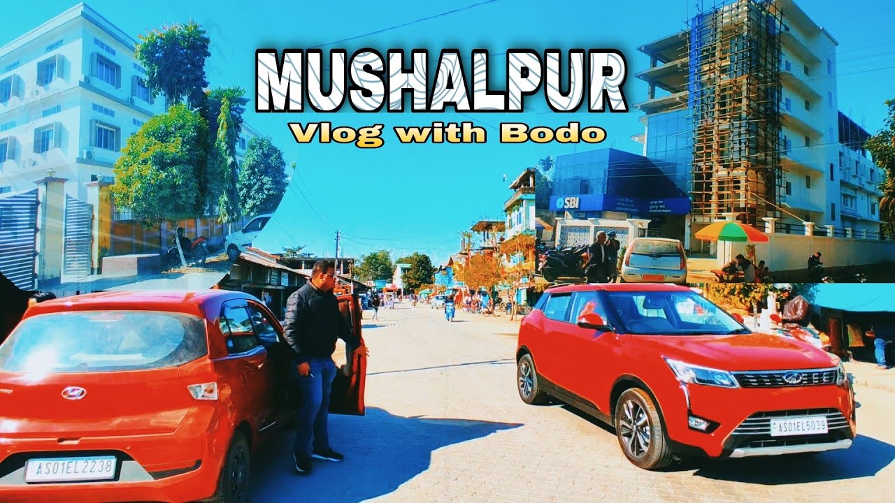Mushalpur Baksa || Let's explore Baksa Mushalpur in 2021 || Baksa Youtuber || Bodo Vlog episode 1 ||