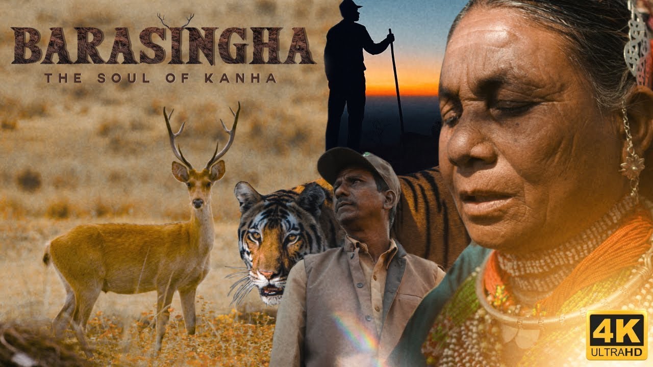 The Conservation Story Of Barasingha - How Efforts of 7 Decades Changed Everything